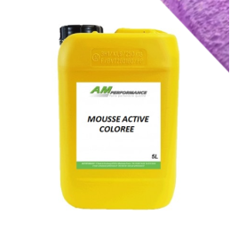 Nettoyant carrosserie coloré 5L - Efficace et ludique pour le lavage de  votre véhicule