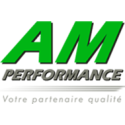 AM PERFORMANCE