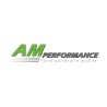 AM PERFORMANCE